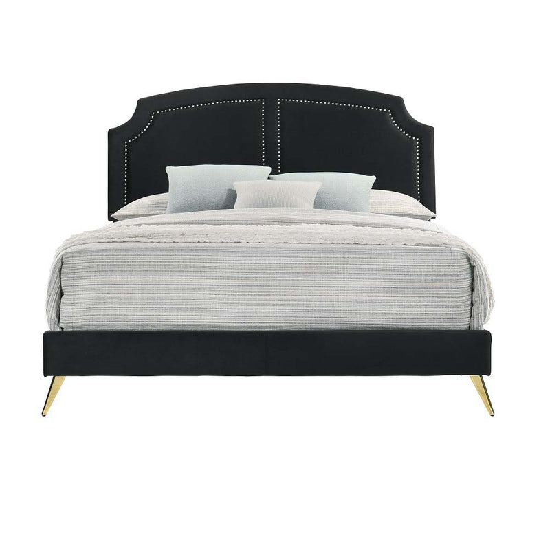 Zeena - Full Bed - Black Velvet