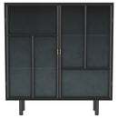 Dalia - 2 Door Accent Storage Cabinet With Shelving - Black