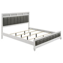 Barzini - Upholstered Panel Bed