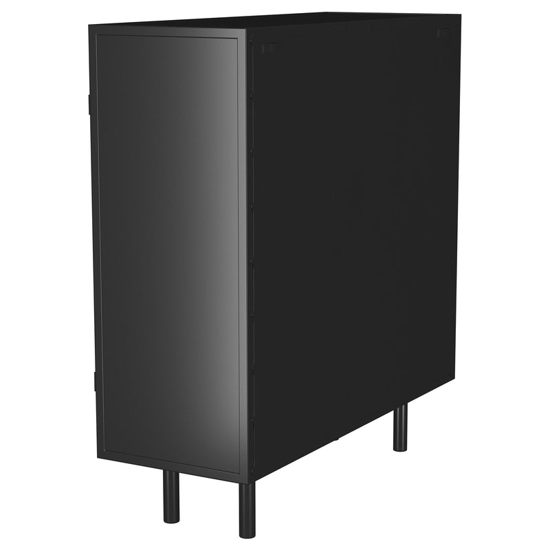 Dalia - 2 Door Accent Storage Cabinet With Shelving - Black