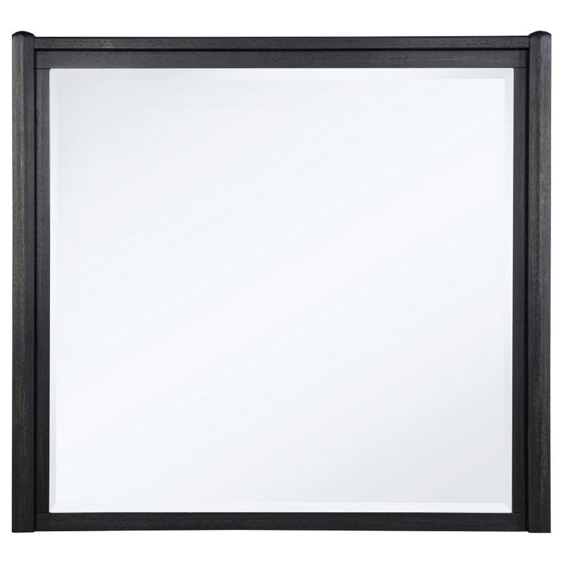 Leandro - Dresser Mirror - Burnished Black
