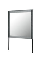 Logan - Mirror - Silver