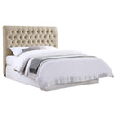 Chloe - Upholstered Panel Headboard