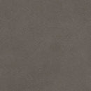 Darcy - Stationary Loveseat