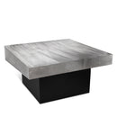 Palladium - Coffee Table